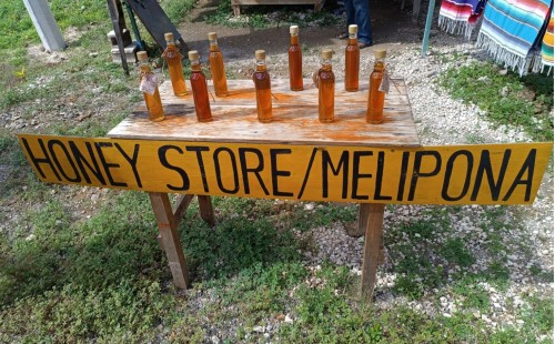 prodej medu Melipona