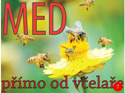 Cedule včelařská - typ 7 létající včelky