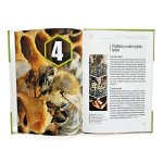 Letní přerušování plodování matky - A.Uzunov, M. Gabel, R.Bichler