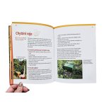 Včelaření pro kluky a holky - Claudia Bentzien