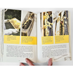 Rok včelaře - praktický průvodce domácím včelařením - Janet Luke