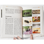 Domečky pro včely a užitečný hmyz - Petr Bogusch